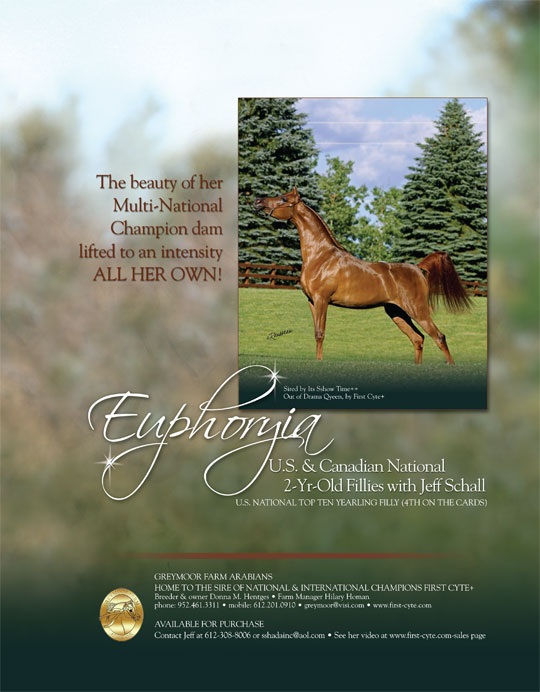 Euphoryia