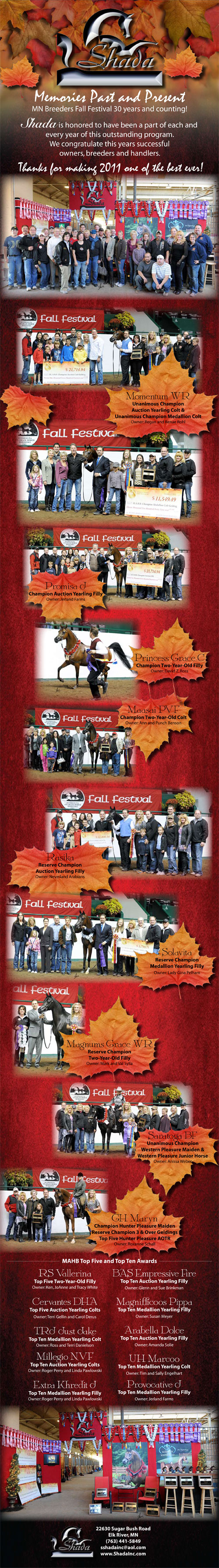 MN Fall Festival